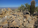 photo thumbnail #13