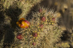 photo thumbnail #3