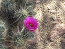 photo thumbnail #5