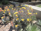 photo thumbnail #15