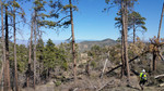 photo thumbnail #7