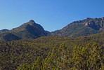 photo thumbnail #6