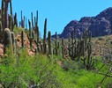 photo thumbnail #9