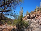 photo thumbnail #14
