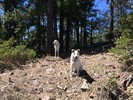 photo thumbnail #6