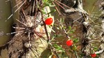 photo thumbnail #2