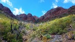 photo thumbnail #5
