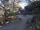 photo thumbnail #15