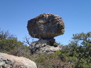 photo thumbnail #15
