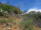 photo thumbnail #5