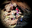 photo thumbnail #15