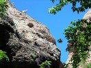 photo thumbnail #14