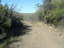 photo thumbnail #1