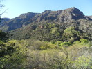 photo thumbnail #2