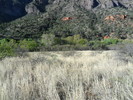 photo thumbnail #5