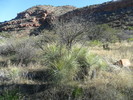 photo thumbnail #6