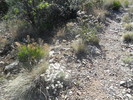photo thumbnail #11