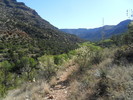 photo thumbnail #12