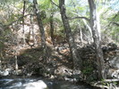 photo thumbnail #15