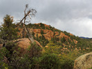 photo thumbnail #12