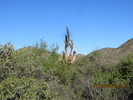photo thumbnail #15