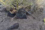 photo thumbnail #6