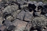 photo thumbnail #13
