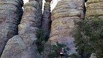 photo thumbnail #7