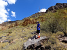 photo thumbnail #5