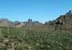 photo thumbnail #8