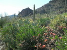 photo thumbnail #9