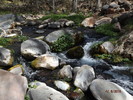 photo thumbnail #13