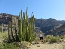 photo thumbnail #2
