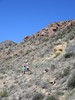 photo thumbnail #14