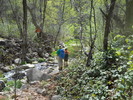 photo thumbnail #10