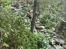 photo thumbnail #12