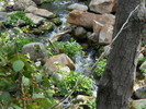 photo thumbnail #13