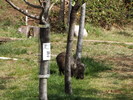 photo thumbnail #13