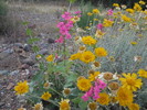 photo thumbnail #2