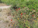 photo thumbnail #8
