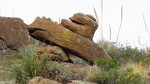photo thumbnail #5