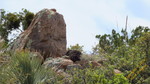 photo thumbnail #11