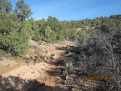 photo thumbnail #9
