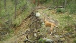 photo thumbnail #3