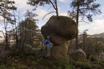 photo thumbnail #5