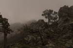 photo thumbnail #13