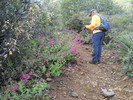 photo thumbnail #7