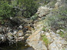photo thumbnail #10