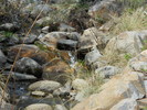 photo thumbnail #11