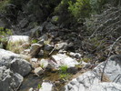 photo thumbnail #12